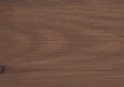 4339 Пралине