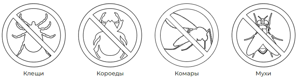 Сделать обработку деревянных построек от короеда