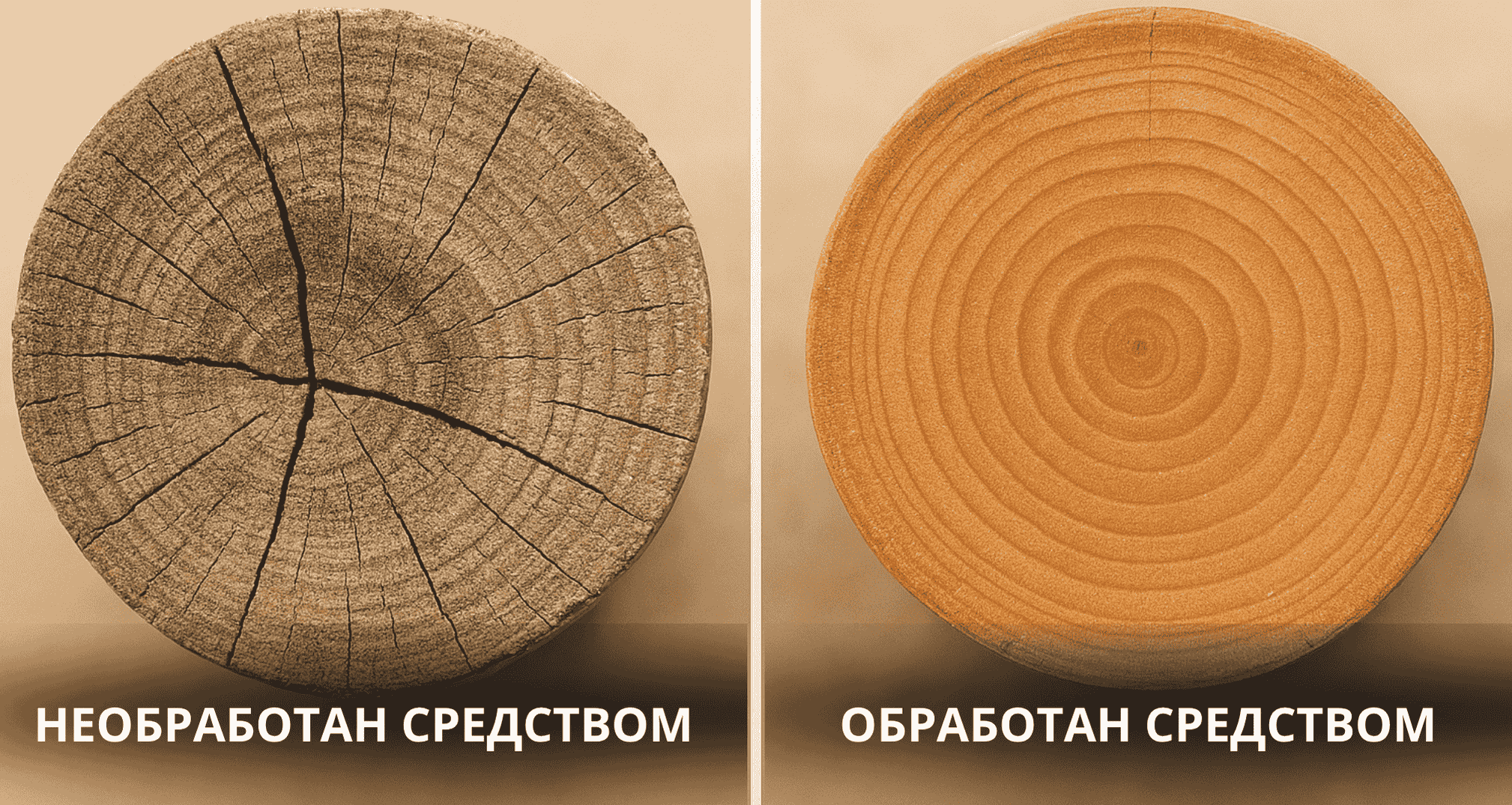 Почему трещины в дереве начинаются именно с торцов
